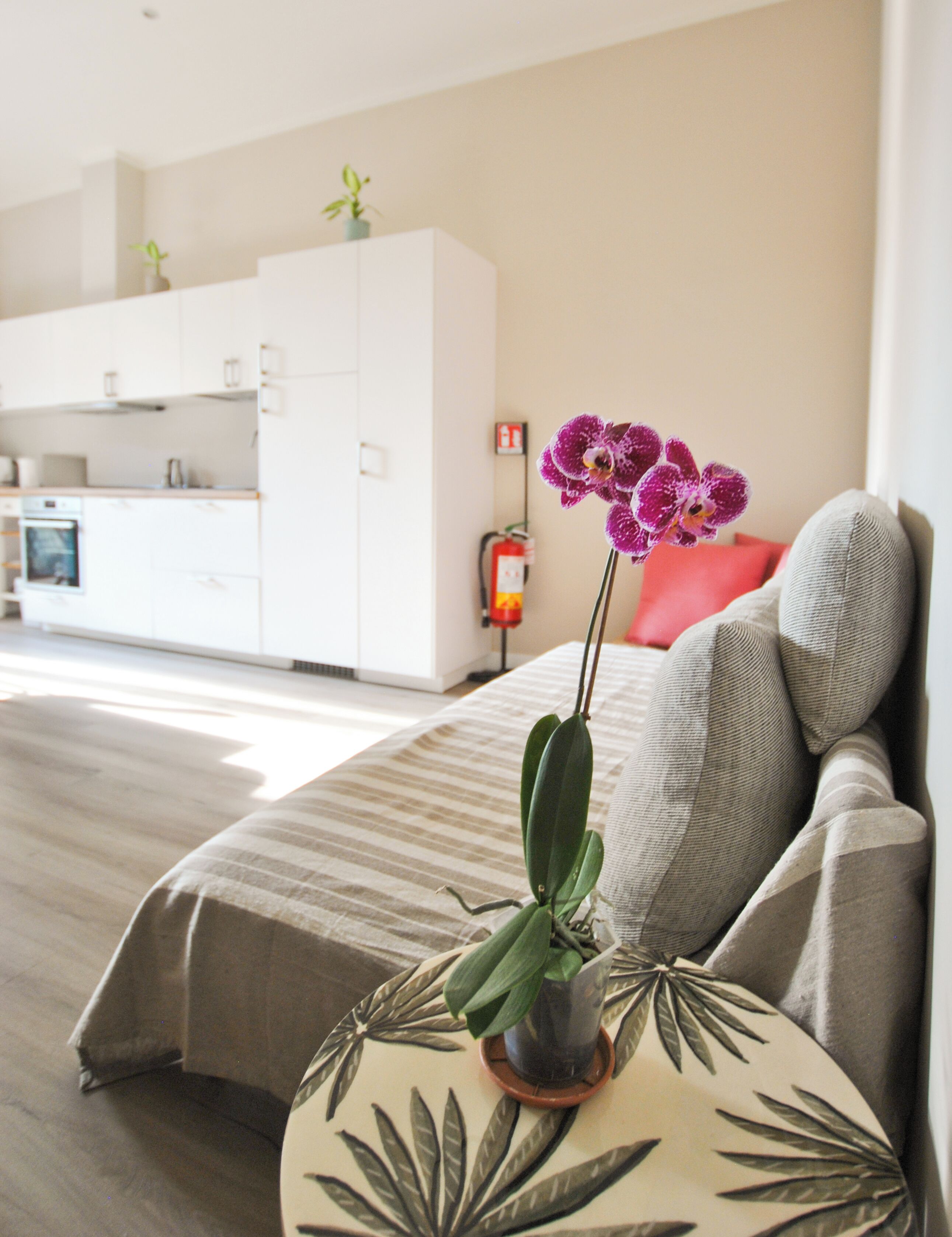 2 habitaciones, tabla de planchar con plancha y wifi gratis 