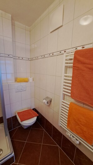 Shower, towels, toilet paper