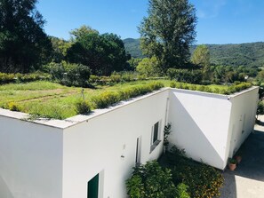 Terrain de l’hébergement 