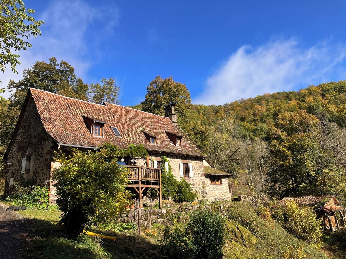 Imagen de perfil del propietario o de la propietaria