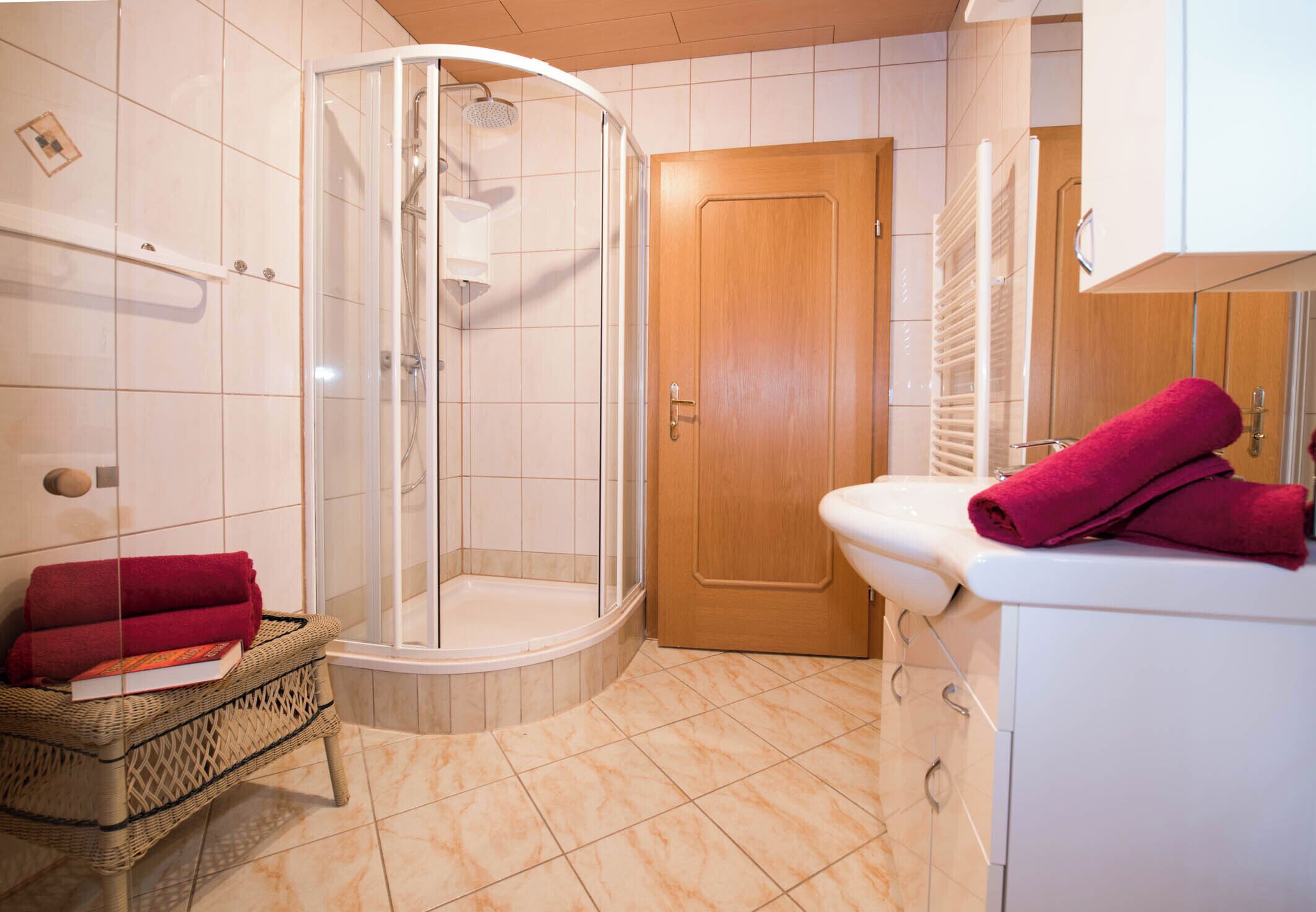 Douche, sèche-cheveux, serviettes fournies, papier toilette