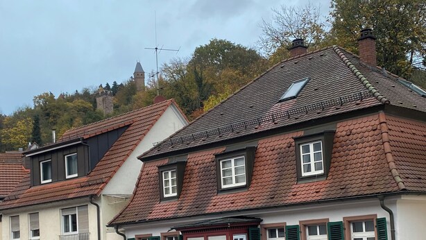 A traditional European building with a prominent staircase, multiple windows with shutters, and a small balcony with a deer head decoration. - Newly renovated apartment in the center of Hirschhorn / Neckar directly on the Neckarsteig (Hirschhorn)