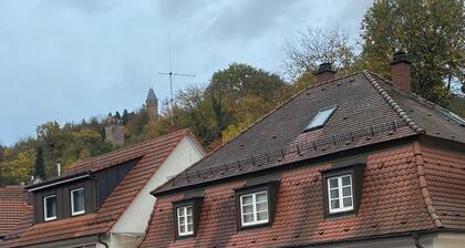 Neu renovierte FeWo im Zentrum von Hirschhorn / Neckar direkt am Neckarsteig