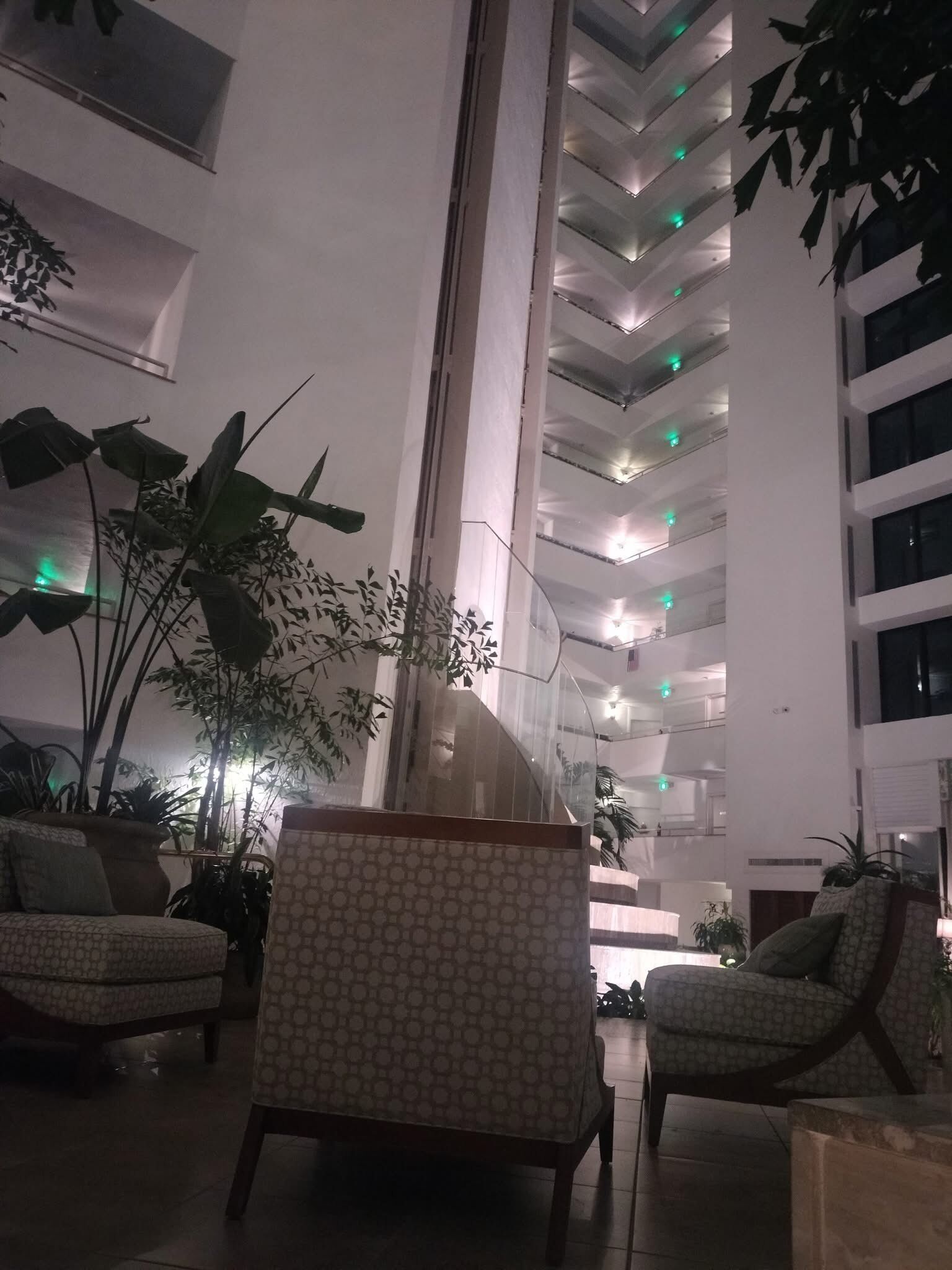 A spacious lobby with high ceilings, multiple seating areas, and large potted plants.