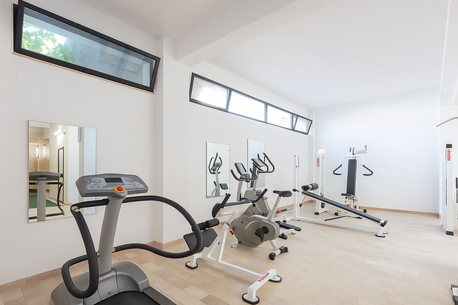 Un gimnasio con equipo cardiovascular, máquinas de pesas y espejos en las paredes.
