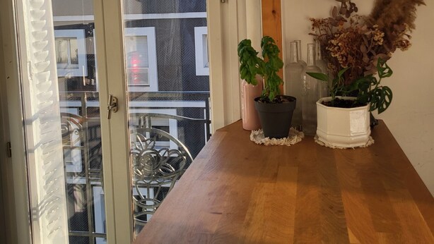 A wooden counter with potted plants and a decorative item. - Bright apartment with balcony (Clichy)