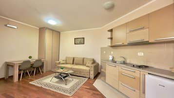 Standard Apartment, Balcony, City View | Living area | 42-inch flat-screen TV with satellite channels, TV
