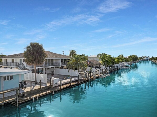 Unclassified image, 1 of 45, button