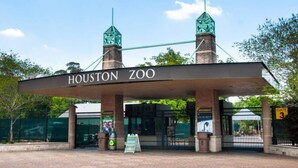 De ingang van de Houston Zoo, met een bord, een poort, afvalbakken en een hek.