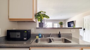 A kitchen with a microwave, double sink, and potted plants. - Cool 2Bed 1Bath 5 min walk to NRG & Medical Center (Houston)