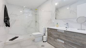 Dusche, Haartrockner, Handtücher