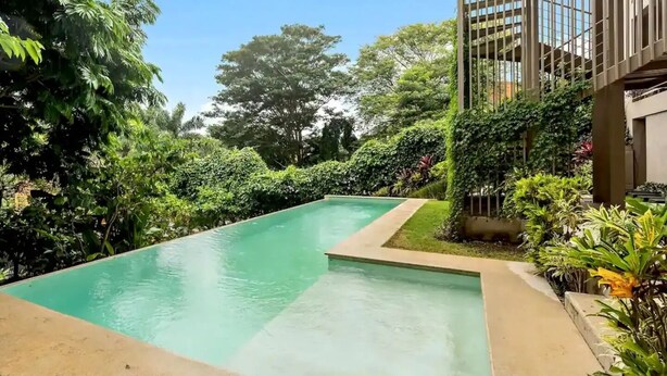 Una piscina rodeada de exuberante vegetación y un edificio moderno con líneas verticales.