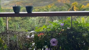 Un balcón con dos plantas en macetas y vistas a un paisaje exuberante.