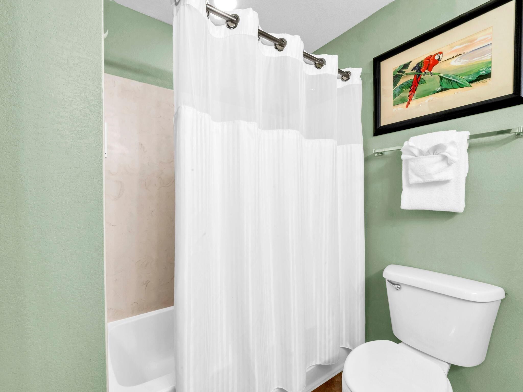 A bathroom with a white bathtub, a white toilet, a white shower curtain, and a framed painting of a parrot on the wall.