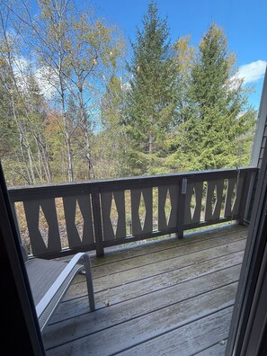 Property grounds - 3 Bedroom  Ski in/Ski out condo on Hunter Mountain! (Lanesville)
