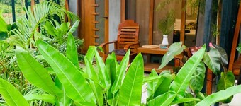 The Grove Nacpan with Free Scooter