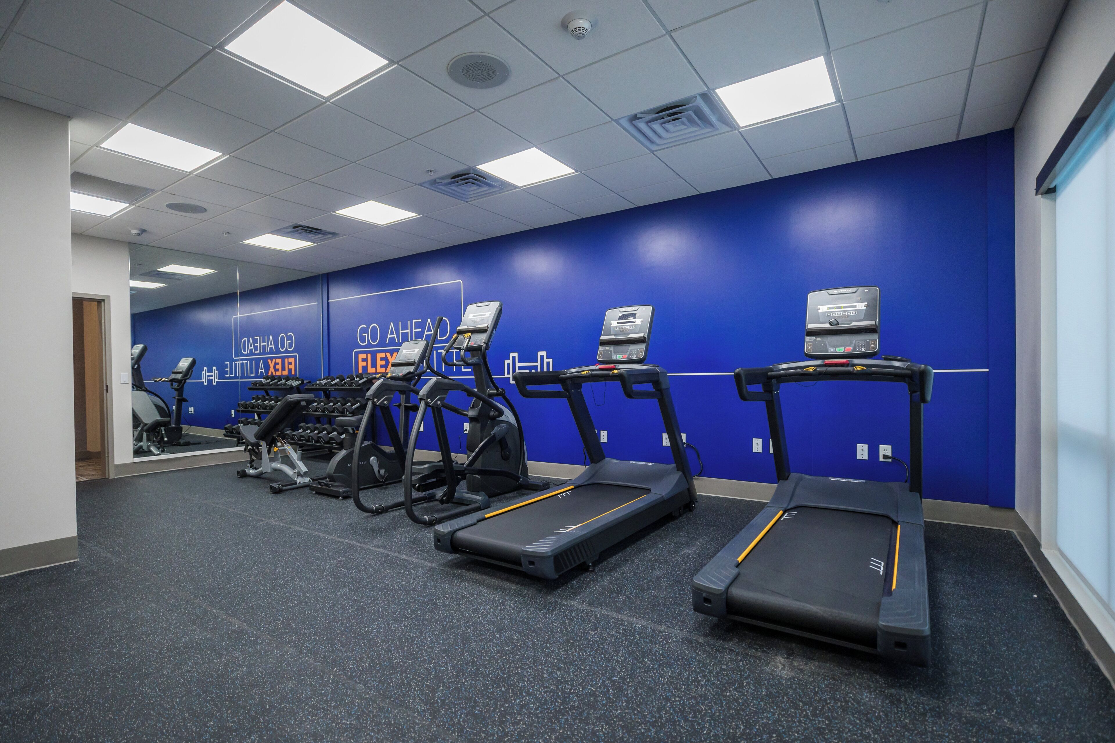 Ein Fitnessstudio mit Laufbändern, Crosstrainern und Kurzhanteln.