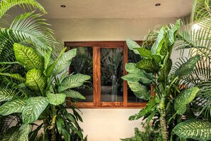 A window with a wooden frame surrounded by lush green foliage.