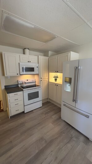 Mikrovågsugn, ugn, spishäll och diskmaskin