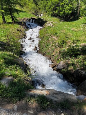 A stream flowing through a grassy area with rocks and trees.