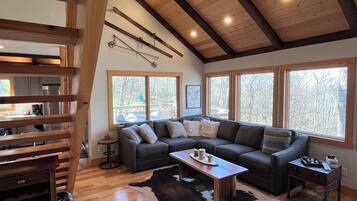 Smart TV, fireplace, DVD player, books
