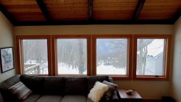 Smart TV, fireplace, DVD player, books