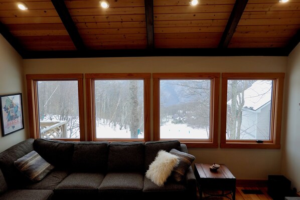 Una Smart TV, una chimenea, un reproductor de DVD, libros