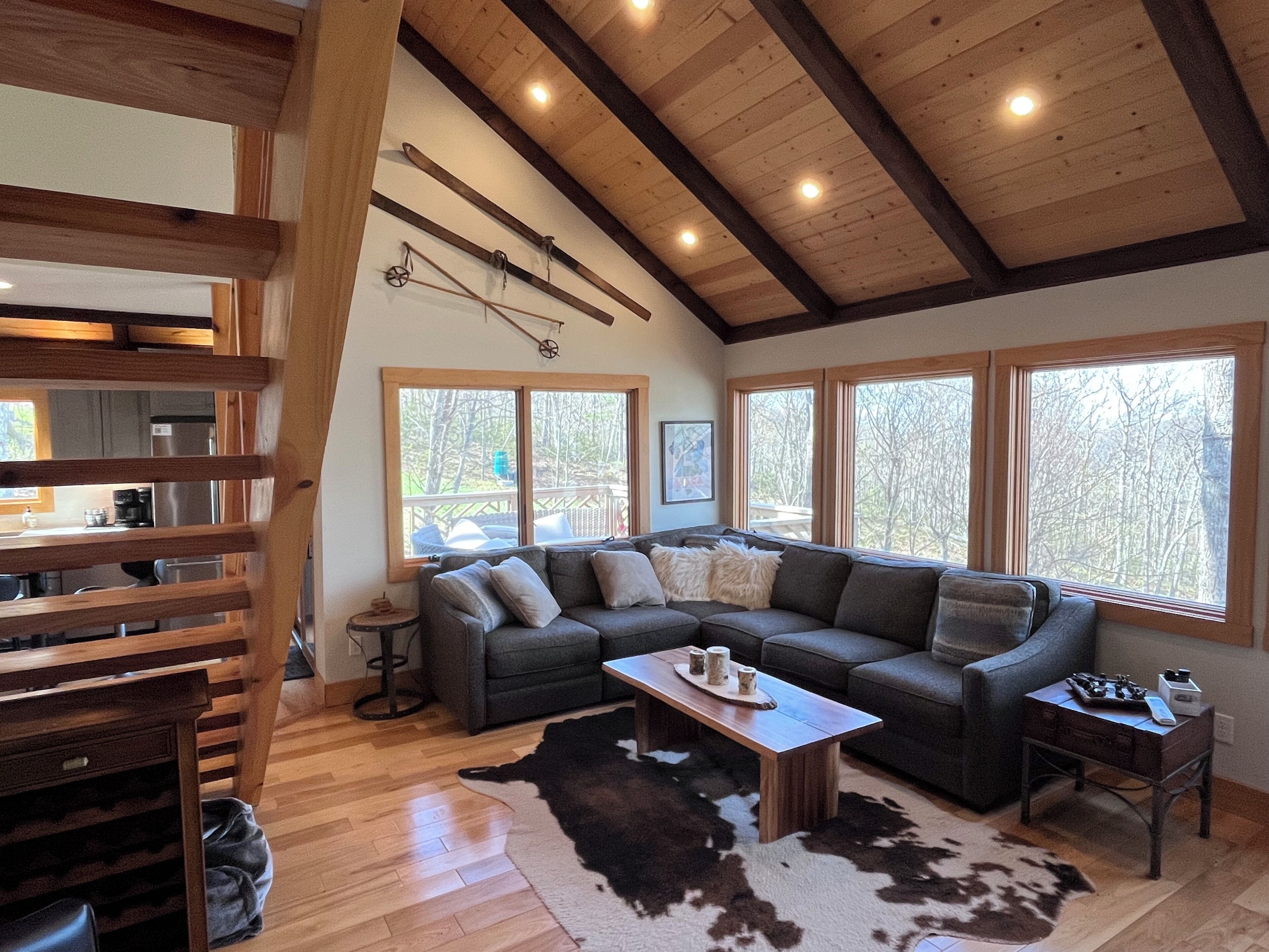 Smart TV, fireplace, DVD player, books