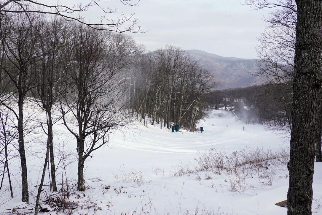 Schneebedeckte Landschaft mit kahlen Bäumen und einer entfernten Bergkette.