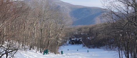 Vue depuis l’hébergement