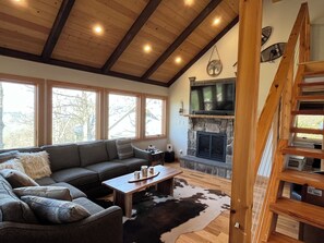 Smart TV, fireplace, DVD player, books