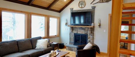 智能电视、壁炉、DVD 播放器、书