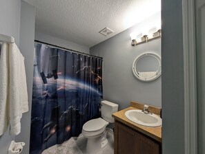 Serviettes fournies, savon, papier toilette