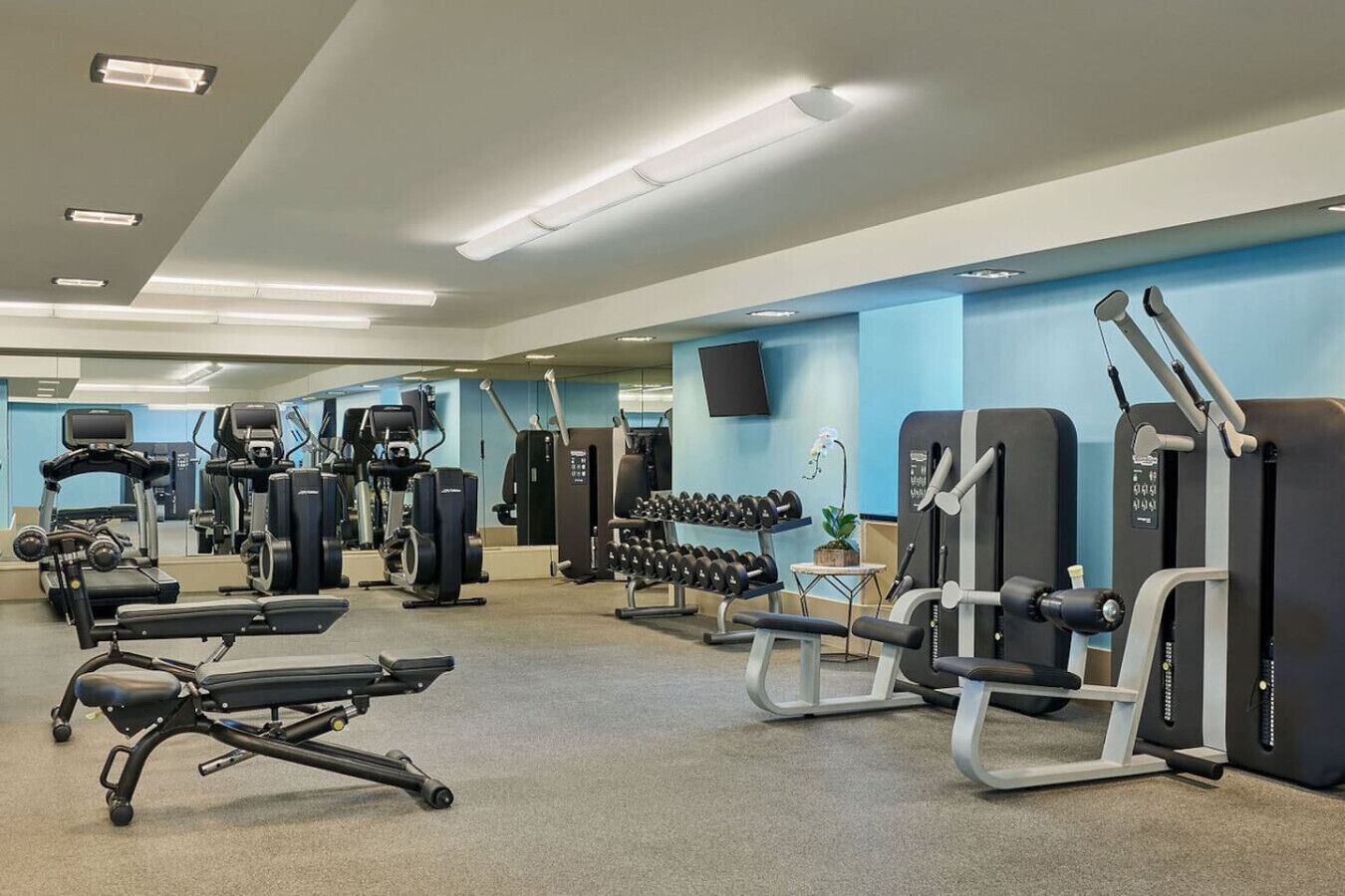 A modern gym with various exercise equipment, including treadmills, weight machines, and dumbbells.
