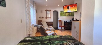 Vacation apartment / 1 room "Suite Wald"