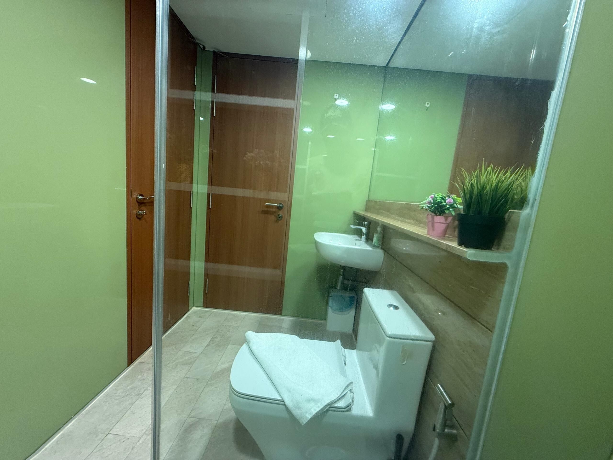 A compact bathroom with a glass shower enclosure, a white toilet, a sink, and a small shelf with a potted plant.
