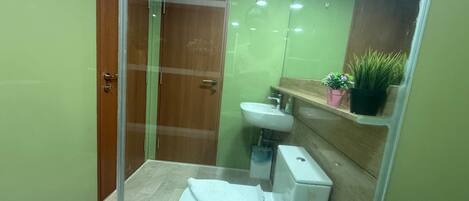 A compact bathroom with a glass shower enclosure, a white toilet, a sink, and a small shelf with a potted plant.
