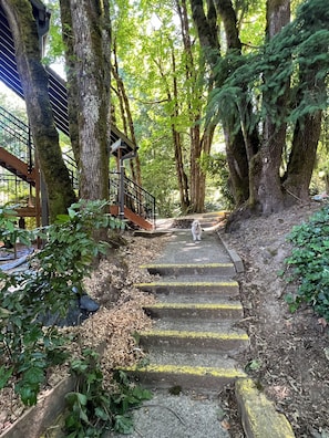 Overnattingsstedets uteområder