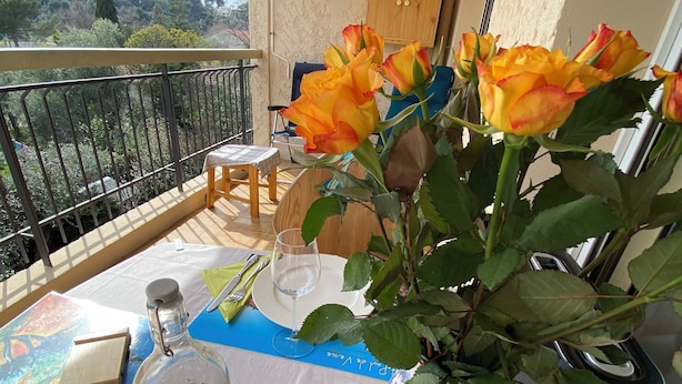 A balcony with a table set for dining, a vase with roses, and a view of the landscape.