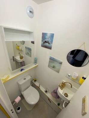 Hair dryer, towels, soap, toilet paper
