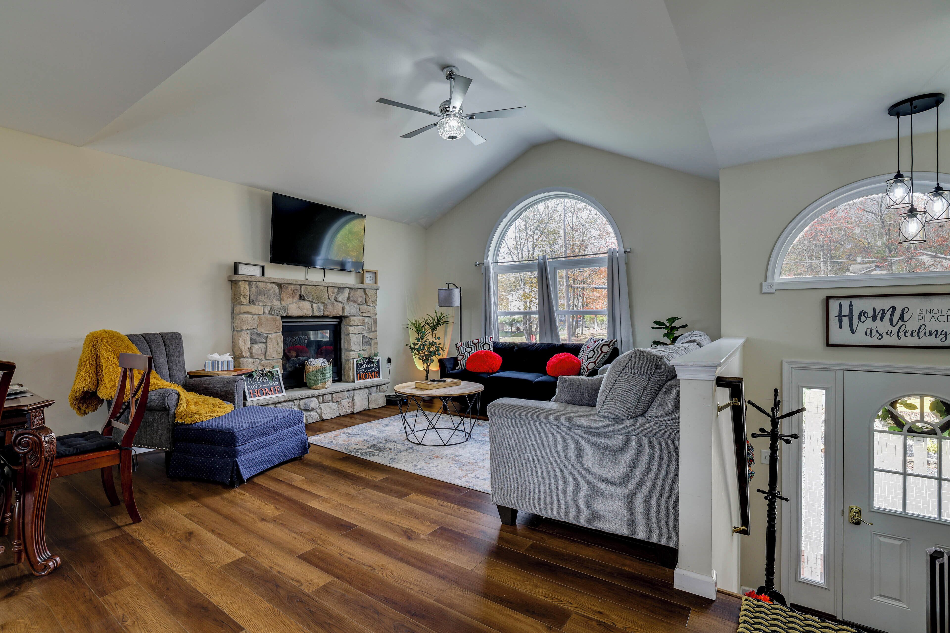TV, fireplace, books