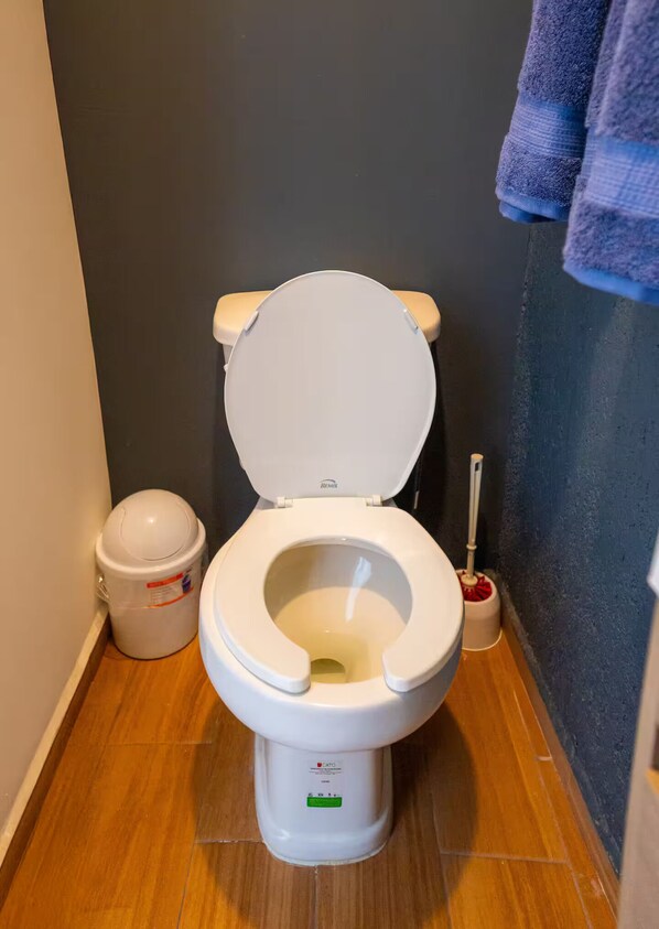 A white toilet with a closed seat, a bidet attachment, and a toilet brush in a bathroom with wooden flooring and a dark wall.
