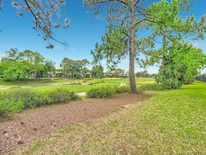 A golf course with a large tree, well-maintained grass, and a clear sky.
