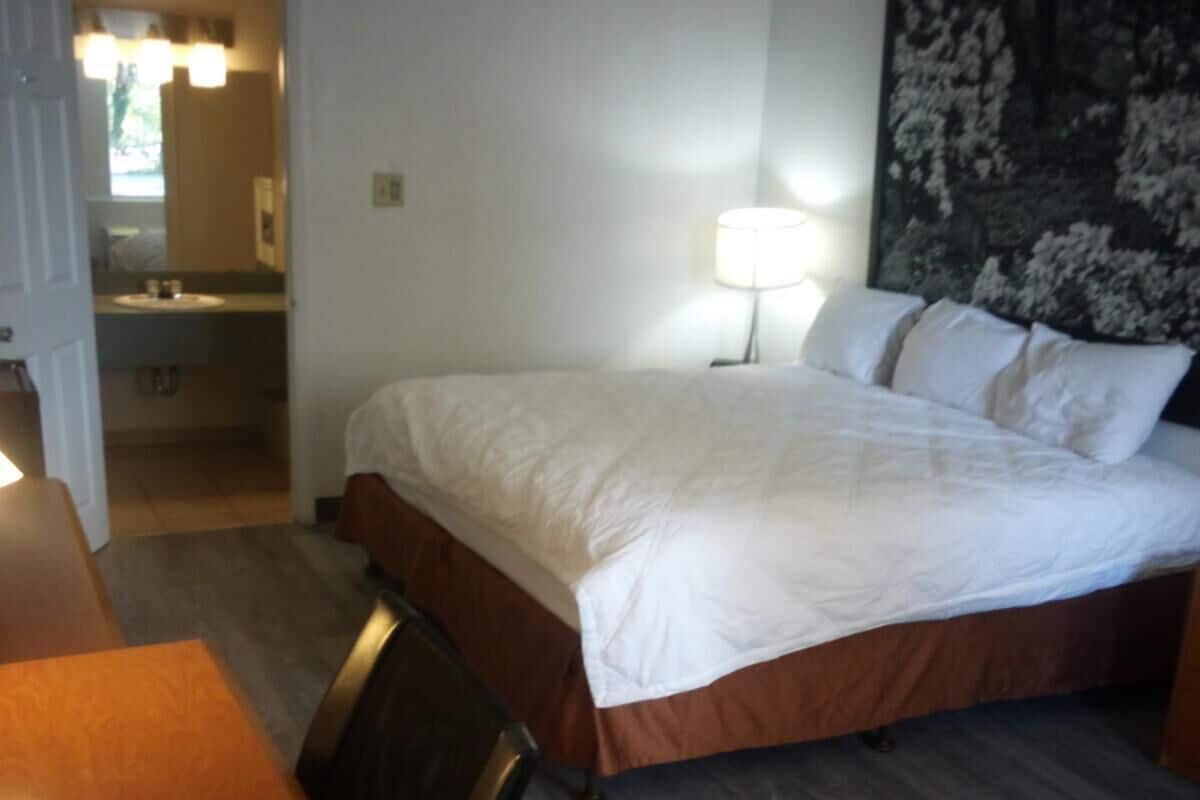 Kamar Standar, 1 Tempat Tidur King, Bebas Asap Rokok, AC | Meja kerja, ruang kerja ramah laptop, dan Wi-Fi gratis