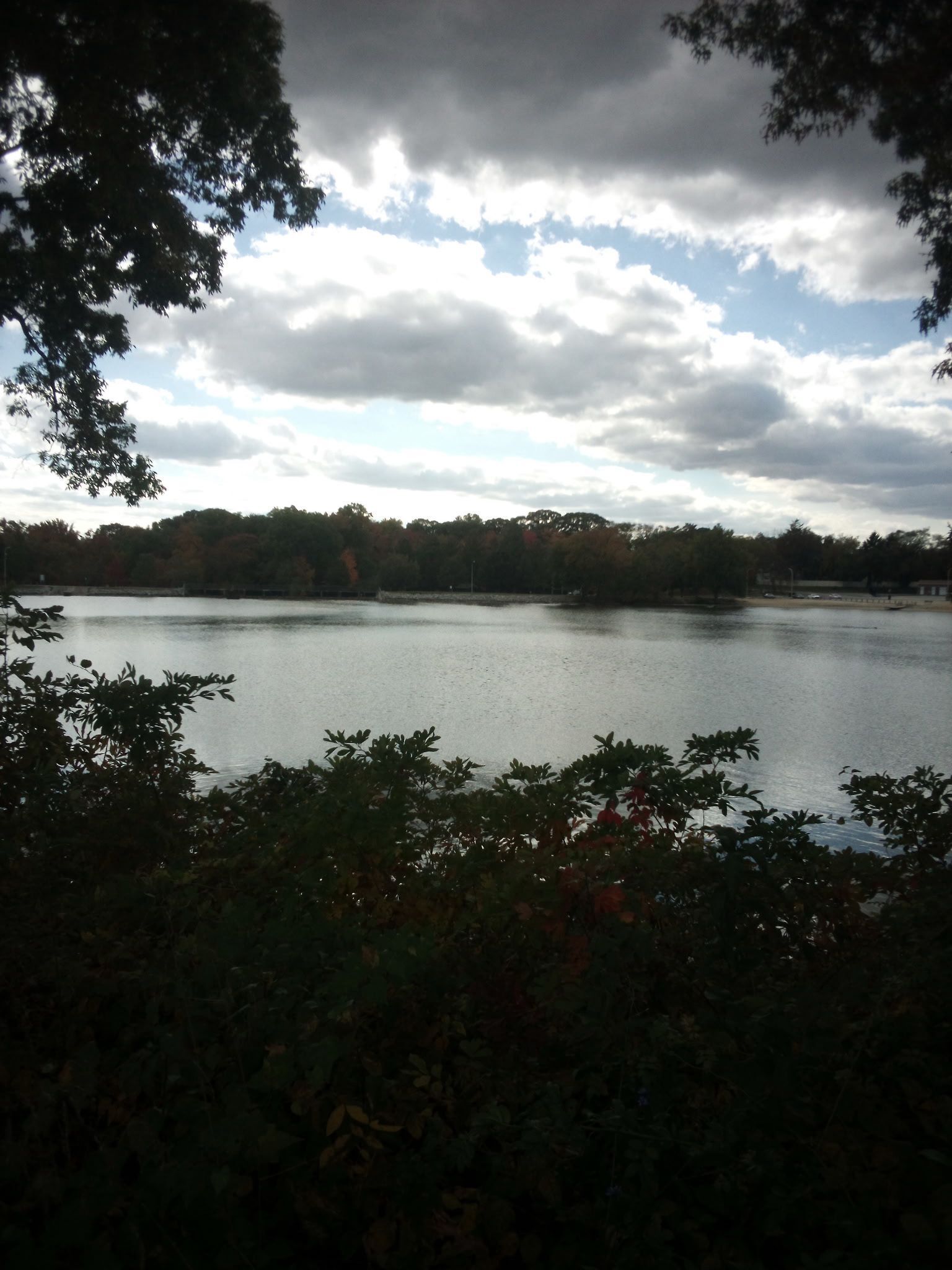 Un lac entouré d’arbres, avec un ciel nuageux au-dessus.