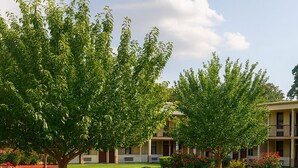 A courtyard with a brick pathway, surrounded by well-maintained lawns and trees. - MHO Hotel Dover (Dover)
