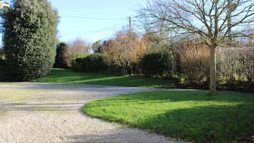 A gravel path leading through a grassy area with a large tree and dense shrubbery on one side.