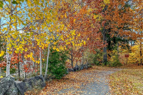 Mountainside condo w/ pool & rec room; walk to ski lifts & town