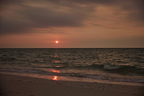 بالقرب من الشاطئ، كراسي للتشمس، مناشف للشاطئ