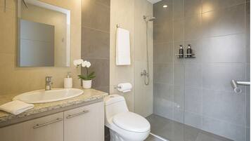 Secadora de cabello, toallas, jabón, papel de baño